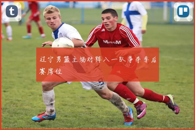 辽宁男篮主场对阵八一队争夺季后赛席位
