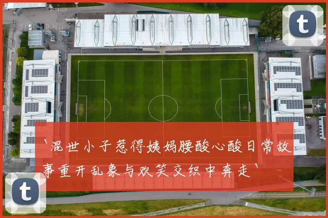 `混世小子惹得姨妈腰酸心酸日常故事重开乱象与欢笑交织中奔走`